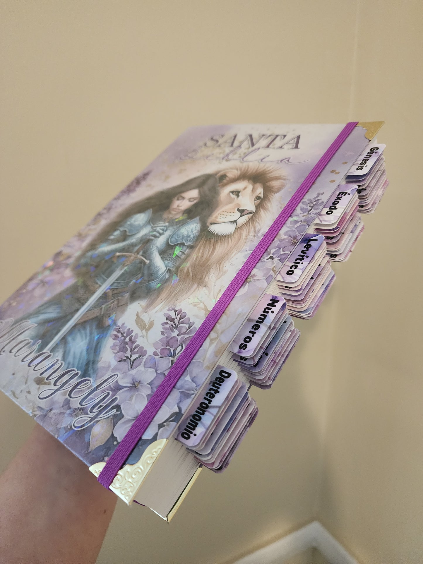 Biblia Virtuosa Violeta | Reina Valera 1960