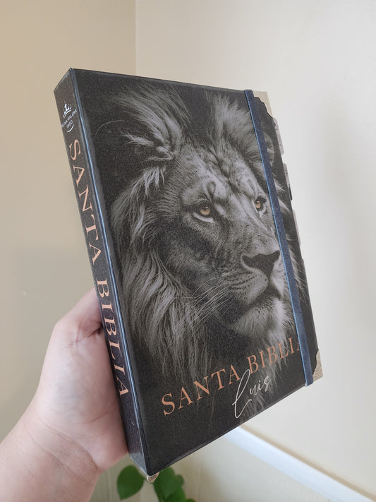 Biblia León de Judá Negra & Gris 🖤 | Letra Grande | Reina Valera 1960