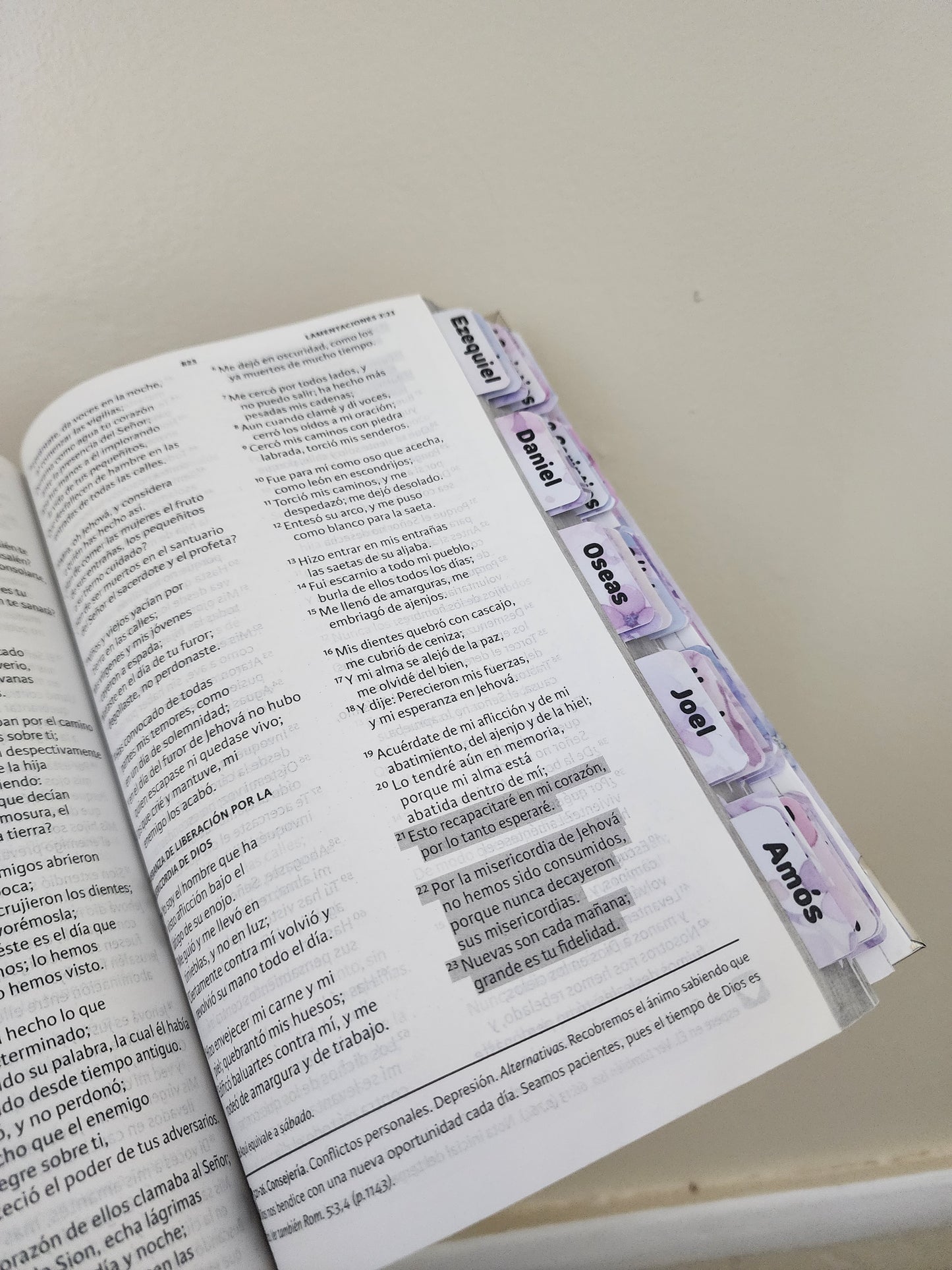 Biblia Guerrera de Dios ✨ | Flores Lavanda | Mujer y León | Reina Valera 1960 • NVI • KJV