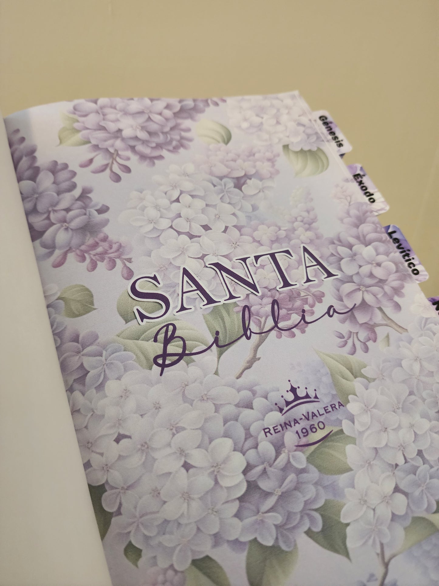 Biblia Virtuosa Violeta | Reina Valera 1960