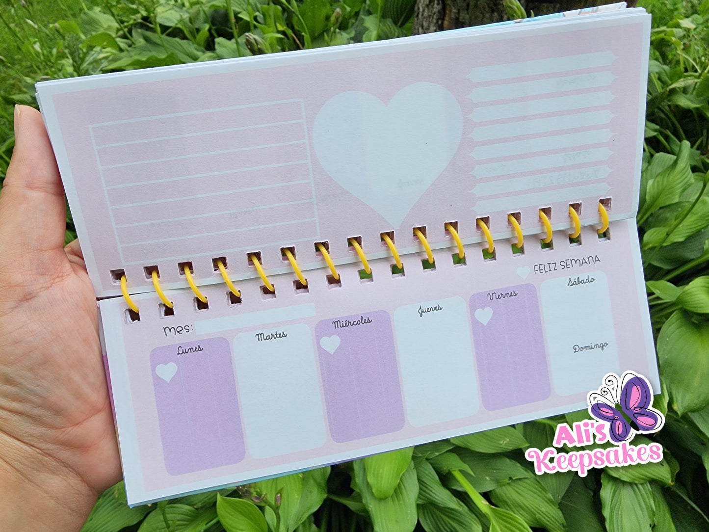 Planeador Semanal / Weekly Planner