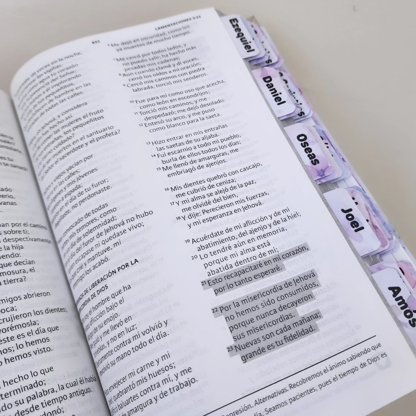 Biblia Guerrera de Dios ✨ | Flores Lavanda | Mujer y León | Reina Valera 1960 • NVI • KJV