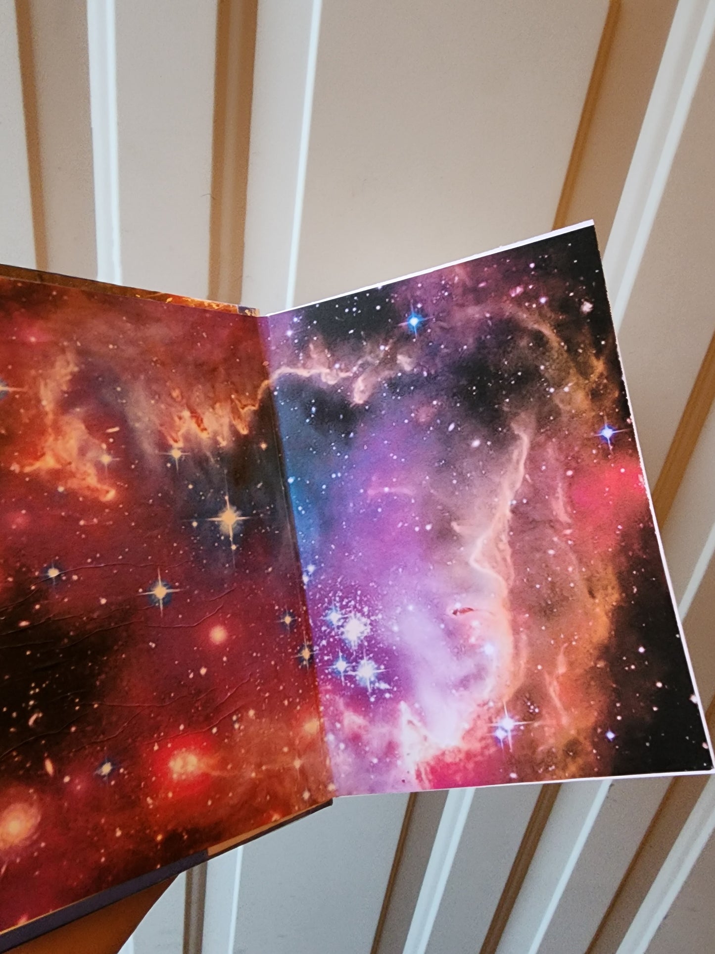 EN Bible | Lion of Judah  | Lion | KJV | Colorful