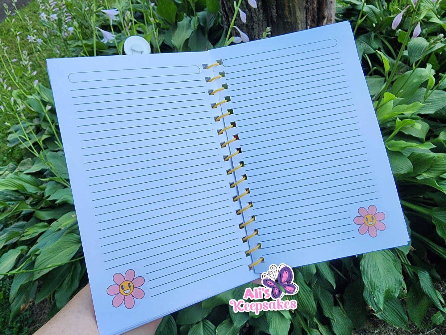 Groovy Collection Notebooks
