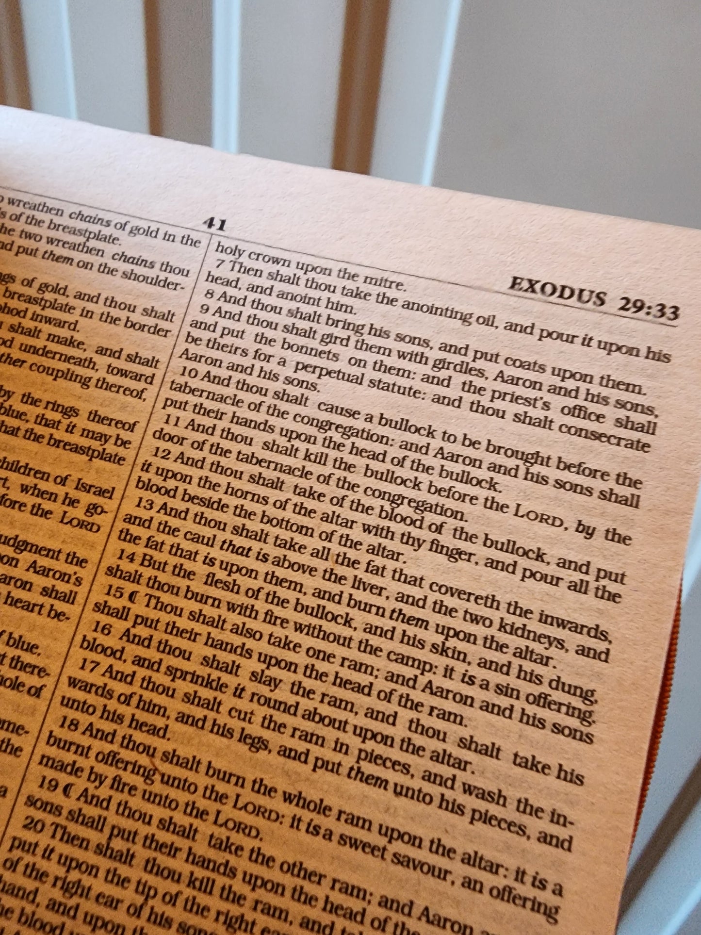 EN Bible | Lion of Judah  | Lion | KJV | Colorful