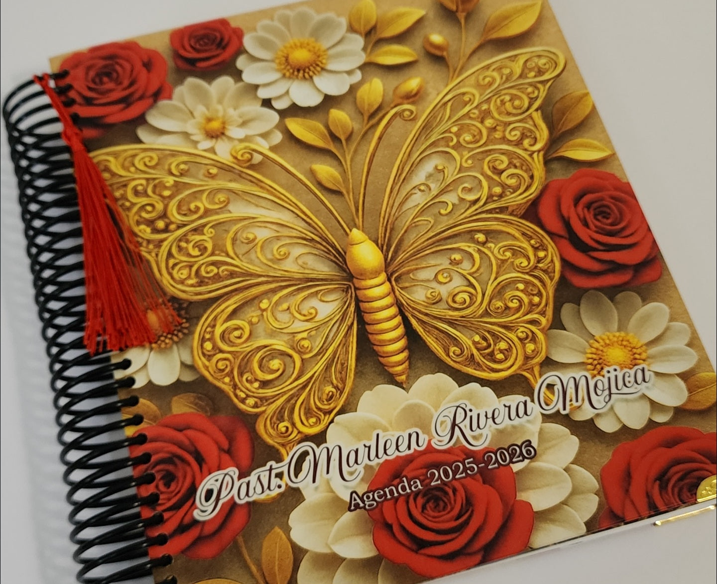 Agenda con Vista Diaria Personalizada